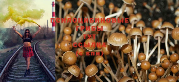 экстази Арсеньев