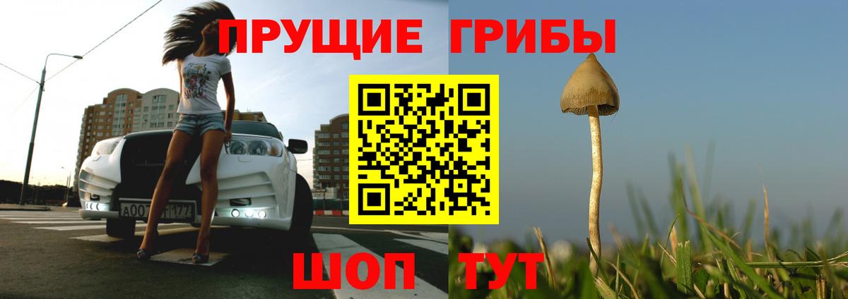 Галлюциногенные грибы мухоморы Печора