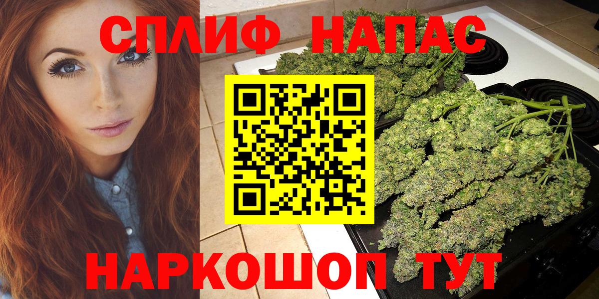 Конопля Amnesia Печора